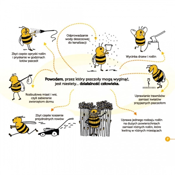 Misja pszczoła – książka edukacyjna o tym jak pomagać pszczołom